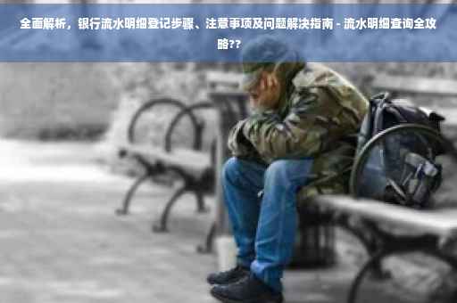 全面解析，银行流水明细登记步骤、注意事项及问题解决指南 - 流水明细查询全攻略??