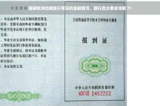 揭秘欧洲出境旅行背后的金融细节，银行流水要求详解 ??
