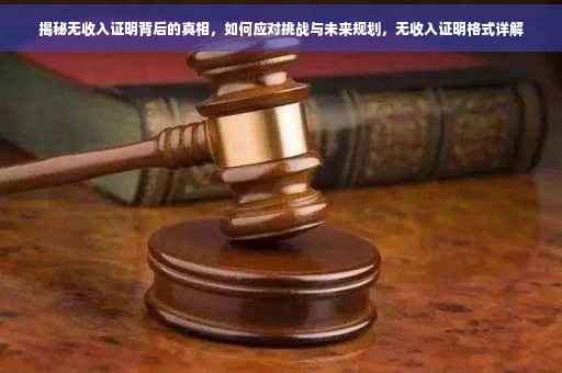 揭秘无收入证明背后的真相，如何应对挑战与未来规划，无收入证明格式详解