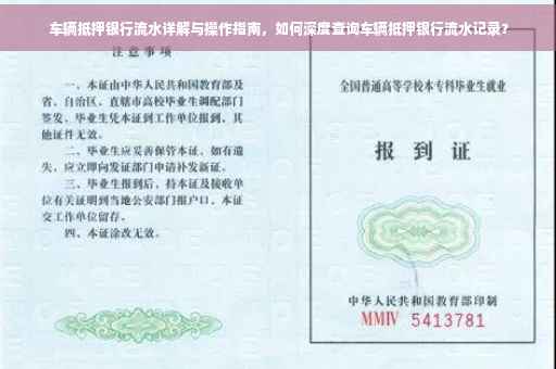 车辆抵押银行流水详解与操作指南，如何深度查询车辆抵押银行流水记录？