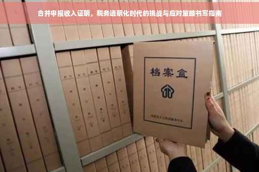 合并申报收入证明，税务透明化时代的挑战与应对策略书写指南