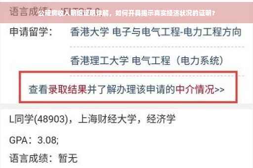 公租房收入明细证明详解，如何开具揭示真实经济状况的证明？