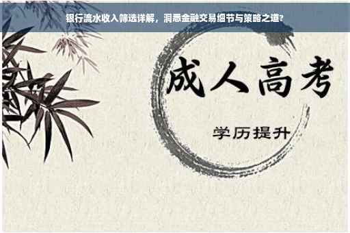 银行流水收入筛选详解，洞悉金融交易细节与策略之道?