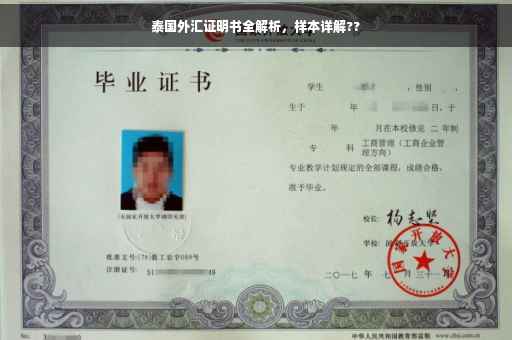 泰国外汇证明书全解析，样本详解??