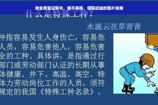 黄金质量证明书，揭示真相，保障权益的图片指南