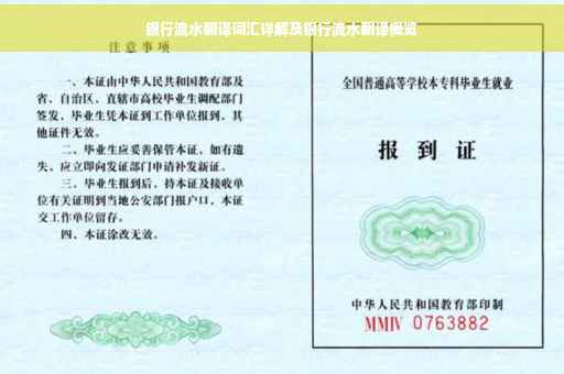 银行流水翻译词汇详解及银行流水翻译概览