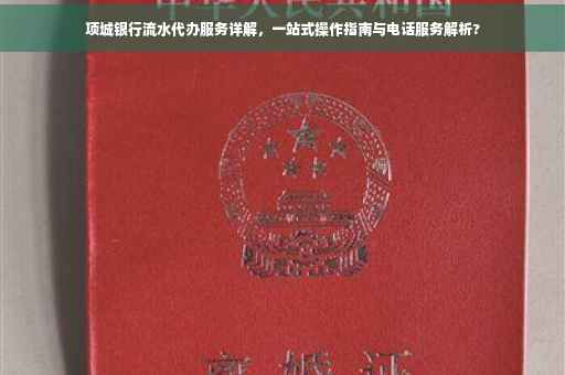 项城银行流水代办服务详解，一站式操作指南与电话服务解析?