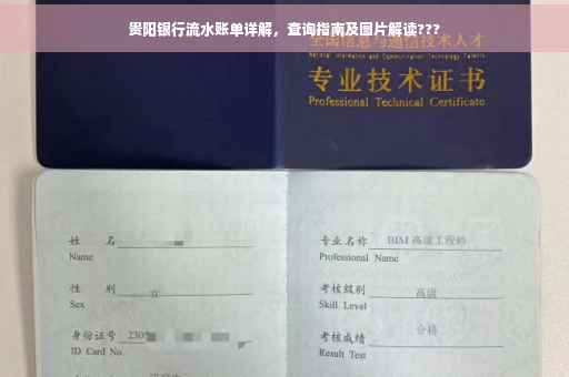 贵阳银行流水账单详解，查询指南及图片解读???
