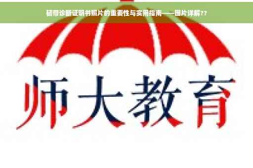 韧带诊断证明书照片的重要性与实用指南——图片详解??