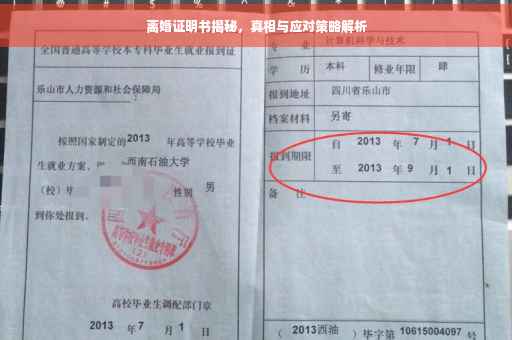 离婚证明书揭秘，真相与应对策略解析