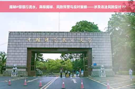 揭秘P图银行流水，真相揭秘、风险预警与应对策略——涉及违法风险探讨 ??