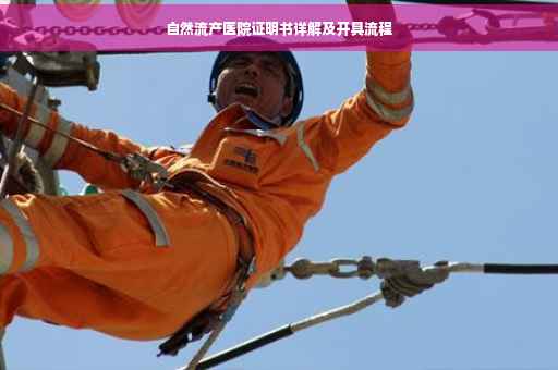 自然流产医院证明书详解及开具流程