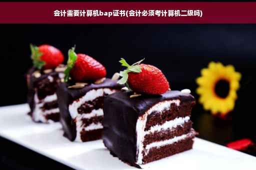 会计需要计算机bap证书(会计必须考计算机二级吗)