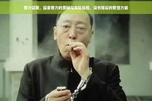 智力证明，探索智力的奥秘与实际应用，证书背后的智慧力量