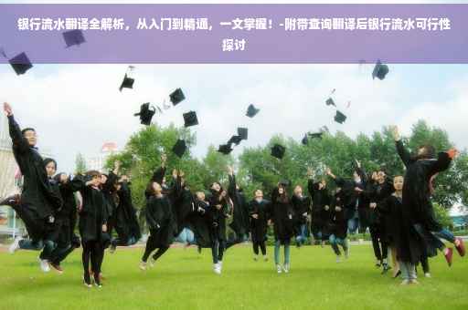 银行流水翻译全解析，从入门到精通，一文掌握！-附带查询翻译后银行流水可行性探讨