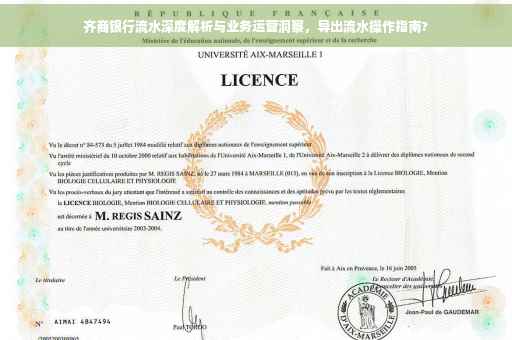 齐商银行流水深度解析与业务运营洞察，导出流水操作指南?
