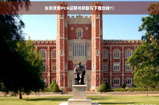 东京免费PCR证明书获取与下载攻略?✨