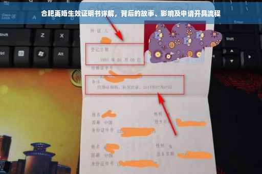 合肥离婚生效证明书详解，背后的故事、影响及申请开具流程