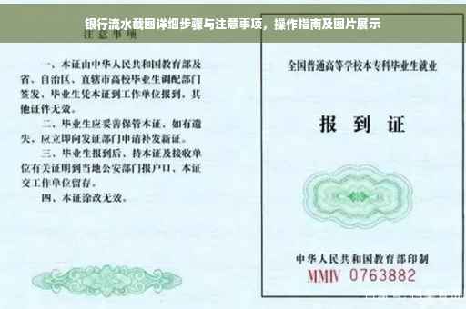 银行流水截图详细步骤与注意事项，操作指南及图片展示