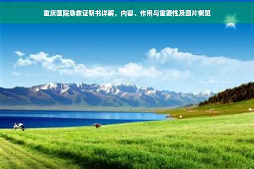 重庆医院急救证明书详解，内容、作用与重要性及图片概览