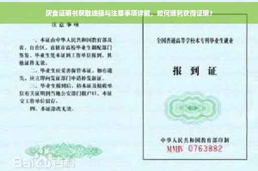 厌食证明书获取途径与注意事项详解，如何顺利获得证明？