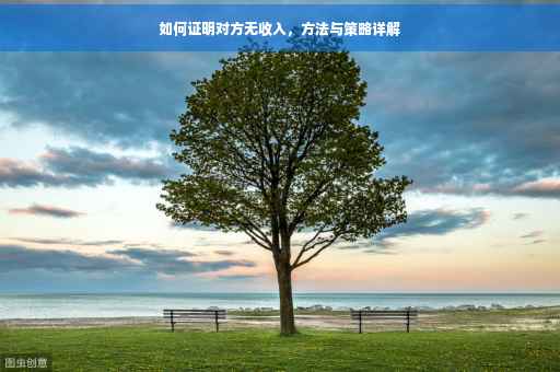 如何证明对方无收入，方法与策略详解