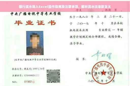 银行流水导入Excel操作指南及注意事项，解析流水往来款含义