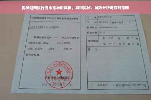揭秘湖南银行流水背后的真相，真相揭秘、风险分析与应对策略