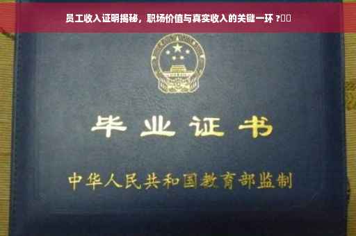 员工收入证明揭秘，职场价值与真实收入的关键一环 ?⚡️