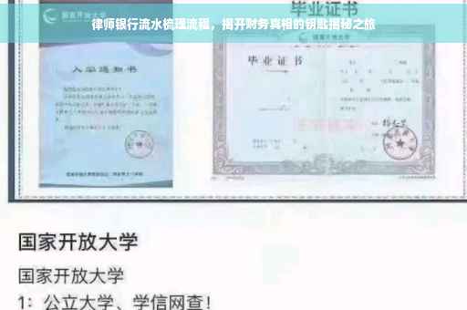 律师银行流水梳理流程，揭开财务真相的钥匙揭秘之旅