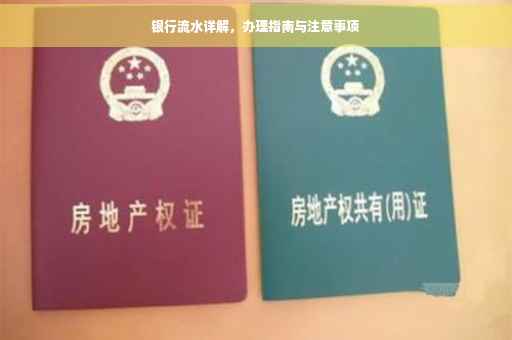 银行流水详解，办理指南与注意事项