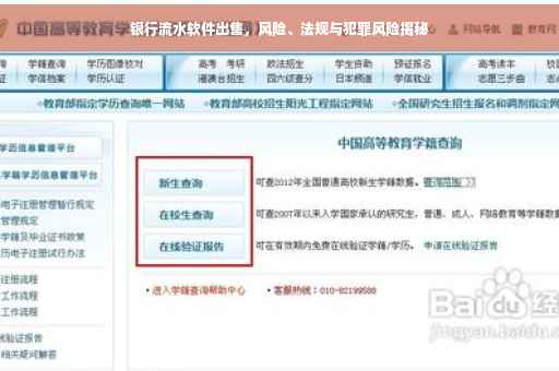 银行流水软件出售，风险、法规与犯罪风险揭秘