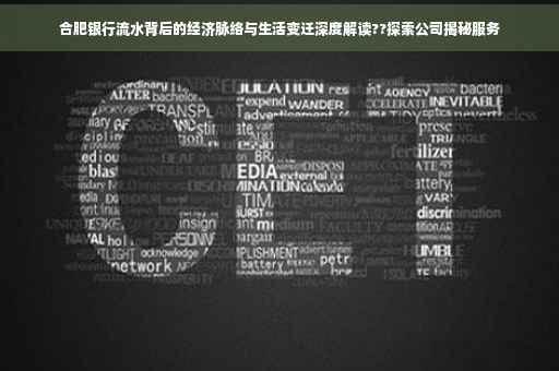 合肥银行流水背后的经济脉络与生活变迁深度解读??探索公司揭秘服务