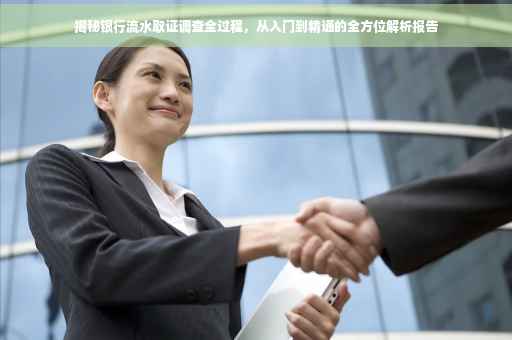 揭秘银行流水取证调查全过程，从入门到精通的全方位解析报告
