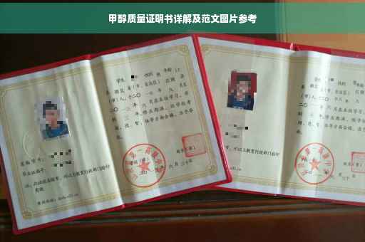 甲醇质量证明书详解及范文图片参考