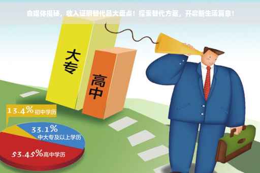 自媒体揭秘，收入证明替代品大盘点！探索替代方案，开启新生活篇章！