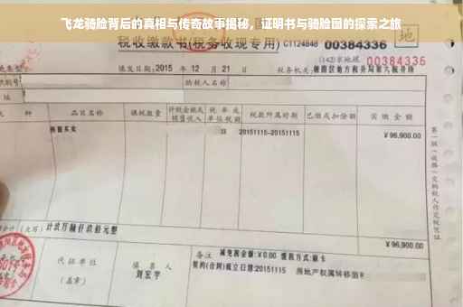 飞龙骑脸背后的真相与传奇故事揭秘，证明书与骑脸图的探索之旅