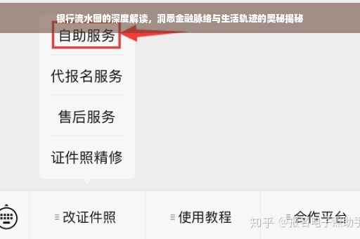 银行流水图的深度解读，洞悉金融脉络与生活轨迹的奥秘揭秘