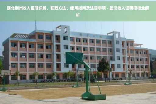 湖北荆州收入证明详解，获取方法、使用指南及注意事项 - 武汉收入证明模板全解析