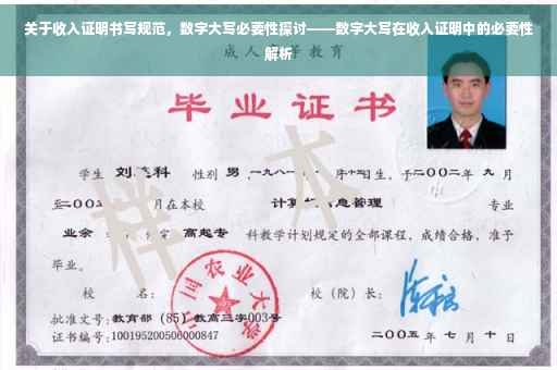 关于收入证明书写规范，数字大写必要性探讨——数字大写在收入证明中的必要性解析