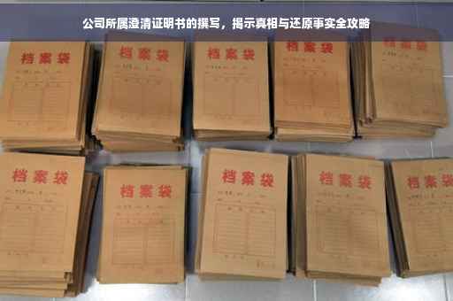 公司所属澄清证明书的撰写，揭示真相与还原事实全攻略