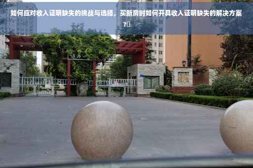 如何应对收入证明缺失的挑战与选择，买新房时如何开具收入证明缺失的解决方案?✨