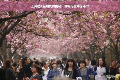 上海收入证明代办揭秘，真相与图片探秘 ??