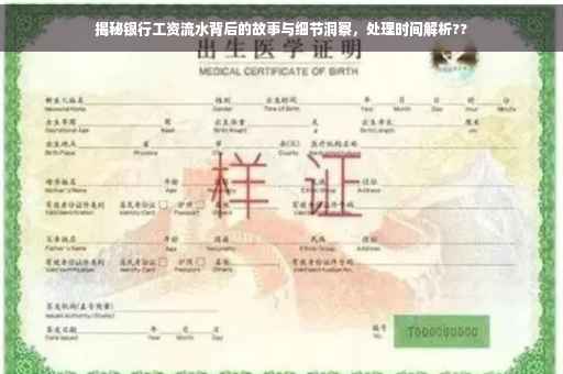 揭秘银行工资流水背后的故事与细节洞察，处理时间解析??