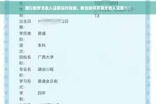 建行疫情无收入证明应对指南，教你如何开具无收入证明?⚡️