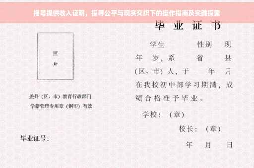 摇号提供收入证明，探寻公平与现实交织下的操作指南及实践探索