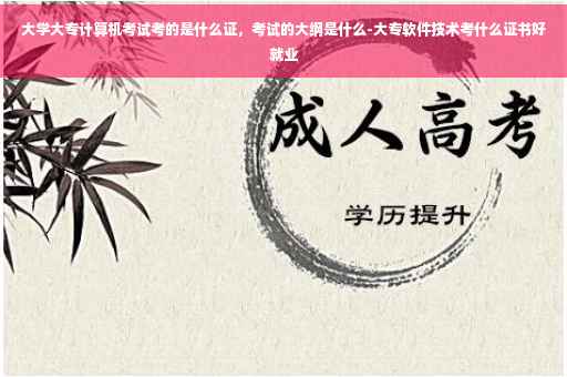 大学大专计算机考试考的是什么证，考试的大纲是什么-大专软件技术考什么证书好就业