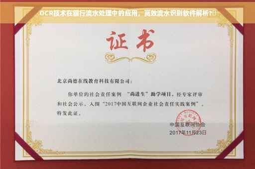 OCR技术在银行流水处理中的应用，高效流水识别软件解析?✨