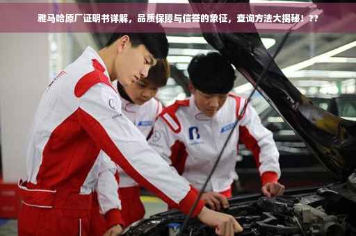 雅马哈原厂证明书详解，品质保障与信誉的象征，查询方法大揭秘！??