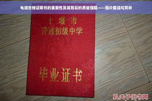 电缆合格证明书的重要性及其背后的质量保障——图片解读与赏析